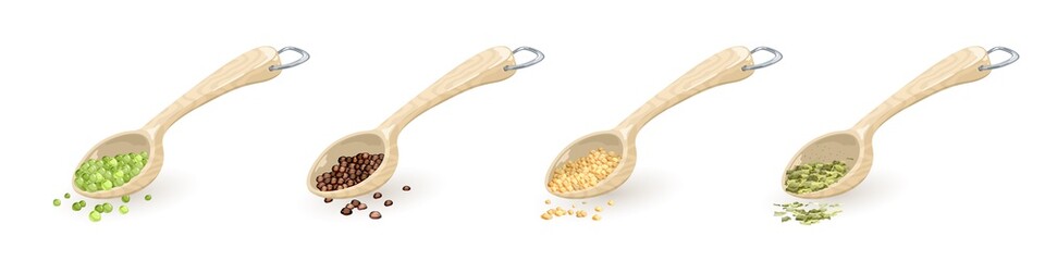 Set of wooden spoons with metallic d-ring hung with food ingredients, spices green peas, black pepper, sesame, coriander, fenugreek seeds, tarragon. Vector collection isolated on white background.