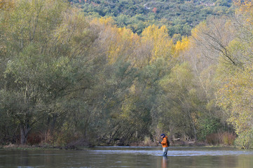 Fototapeta na wymiar fly fisherman in river in autumn