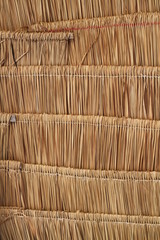 bamboo texture background