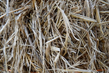 straw in the field
