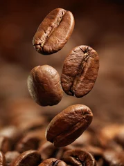 Foto op Plexiglas Closeup of coffee beans © lotus_studio