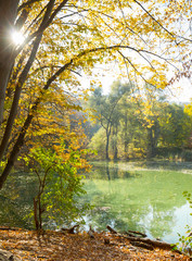 Beautiful autumn trees in the park in Kitaevo , Kyiv