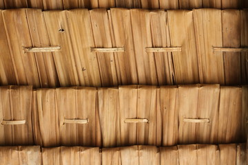 wood texture background