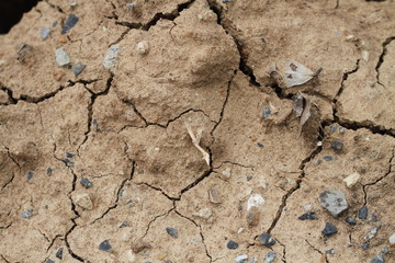 dry cracked earth