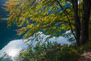 Peaceful autumn Alps mountain lake with clear transparent water and reflections. Langbathseen lake, Upper Austria.
