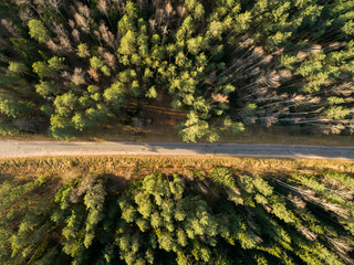 Asphalt road passing through a green forest in the fall. Landscape aerial view. Top view
