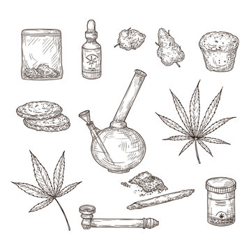 Sketch cannabis. Medical marijuana leaves, weed joint and bong, cbd oil. Hand drawn ganja vector set. Illustration sketch cannabis weed, natural organic hemp