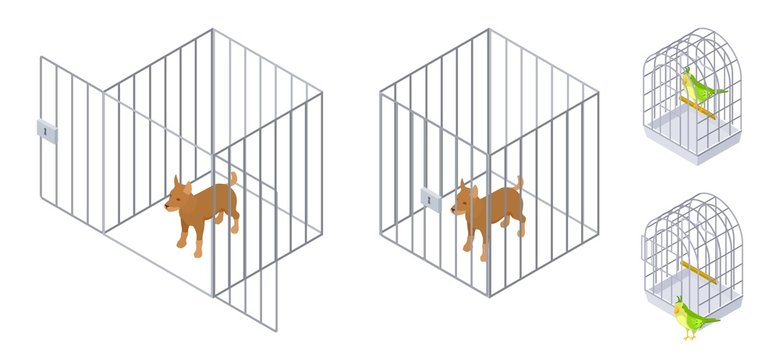 Animals in cages. Isometric dog bird inside and outside cage. Pet care vector illustration. Cage for pet, animal domestic puppy safety