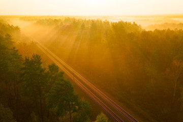 Railway in autumn blurred forest at dawn