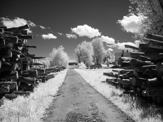 infrared