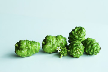 Noni herb for health, can be eaten both fresh and juicing