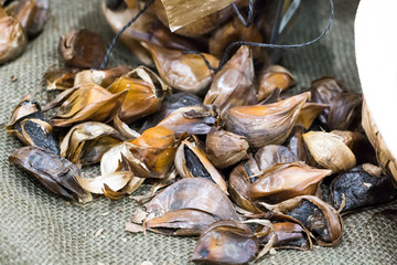 Healthy roasted black garlic isolated