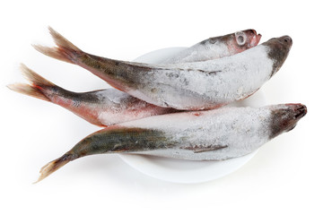 Carcasses of frozen Redbait fish on dish during defrosting