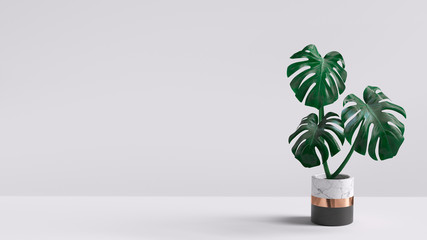 Monstera plant in pot isolated on white background. Minimal tropical leaves houseplant home decor. 3d rendering. - obrazy, fototapety, plakaty