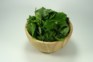 Fresh and organic green Lvy Gourd on the wood bowl.