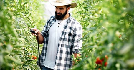 Young farmer protecting his plants with chemicals