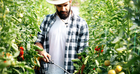 Young farmer protecting his plants with chemicals
