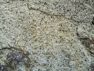 Texture of a shell rock wall, close-up. Pattern of antique stone surface with multicolored...