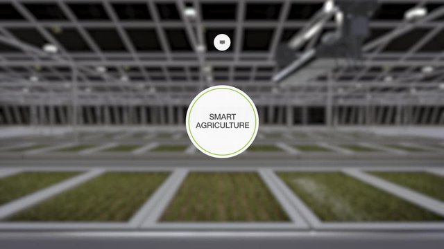 Watering the crops automatically in the green house. Smart agriculture farming information graphic icon, around view. internet of things. 4k animation.