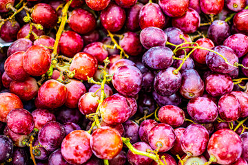 Dark grape close-up background. Ripe red grape close-up, pattern. Fruit background, veggie concept, fruit menu, healthy lifestyle