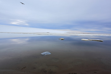 Old plastic bag in the glacial lake on the island of the high Arctic - environment pollution