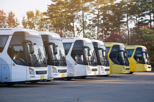 New bus fleet is parking at the parking yard for service passengers.