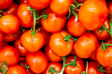 Lots of red fresh ripe tomatoes close up in the supermarket. Vegetables harvest. Food natural background . Vegetable background, concept of harvest, agriculture, veggie.