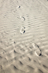 Fototapeta na wymiar footprints on a deserted beach