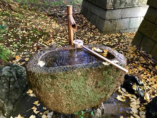 garden tools in garden