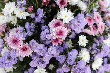 Flowers for wedding or background for wedding scene.