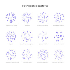 Vector illustration of pathogenic bacteria 