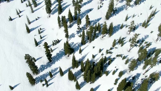 Flying forward and tilting up to reveal Mt. Shasta in slow motion.