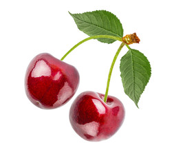 Fototapeta na wymiar Cherry with leaf green isolated on white background with clipping path