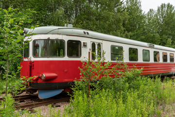 Fototapeta na wymiar Abandoned red and white rail bus standing on an overgrown track