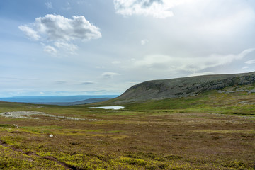 Landscape view from the Swedish highlands in summer sunlight