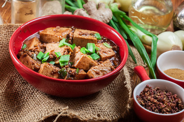 Mapo Tofu - sichuan spicy dish