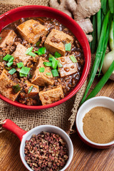 Mapo Tofu - sichuan spicy dish