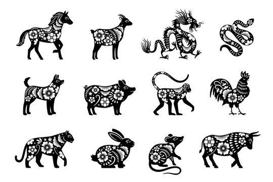 Traditional chinese horoscope with flowers. Chinese new year animals set, tiger and snake, dragon and pig vector mascot drawings with flora patterns