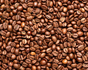 coffee bean brown roasted caffeine espresso seed