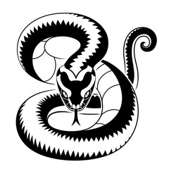 Viper snake