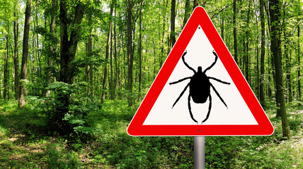 Tick insect warning sign in nature forest. Lyme disease and tick-borne meningitis...