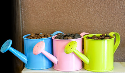 Coffee bean in colorful small decoration shower pot on wall background.