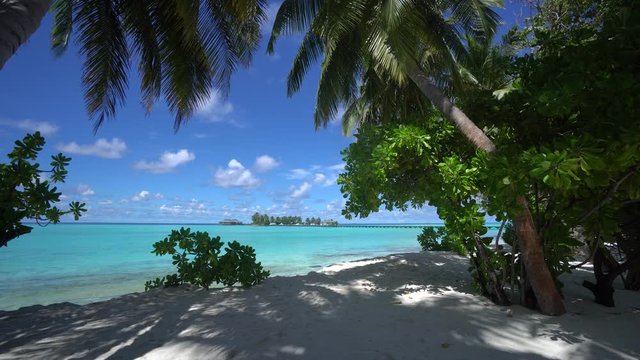 Tropic island in ocean. Camera is moving forward from beach to blue lagoon in Maldives fantastic view 4K