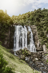 Picture of a beautiful waterfall in a forest of New Zealand