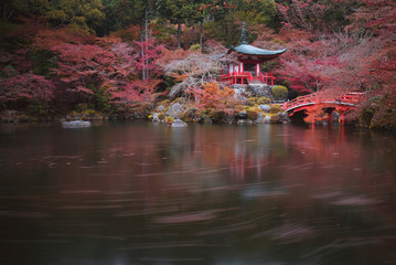 Autumn season,The leave change color of red in Temple, Kyoto, Japan