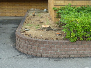 工事写真　花壇