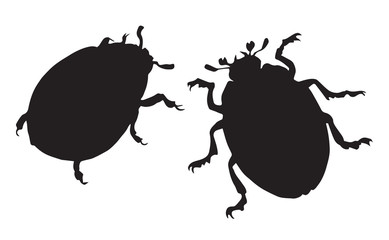 Beetle. Vector drawing