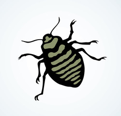 Beetle. Larva. Vector drawing