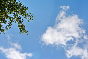 Blue sky with white clouds.
