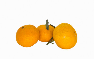 tangerines on a white background